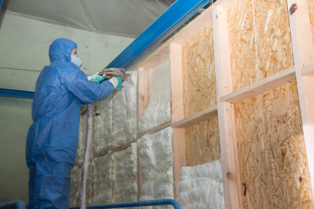 Best Energy-efficient Insulation  in Shavertown, PA