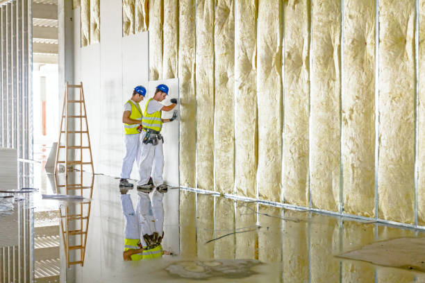 Best Crawl Space Insulation  in Shavertown, PA